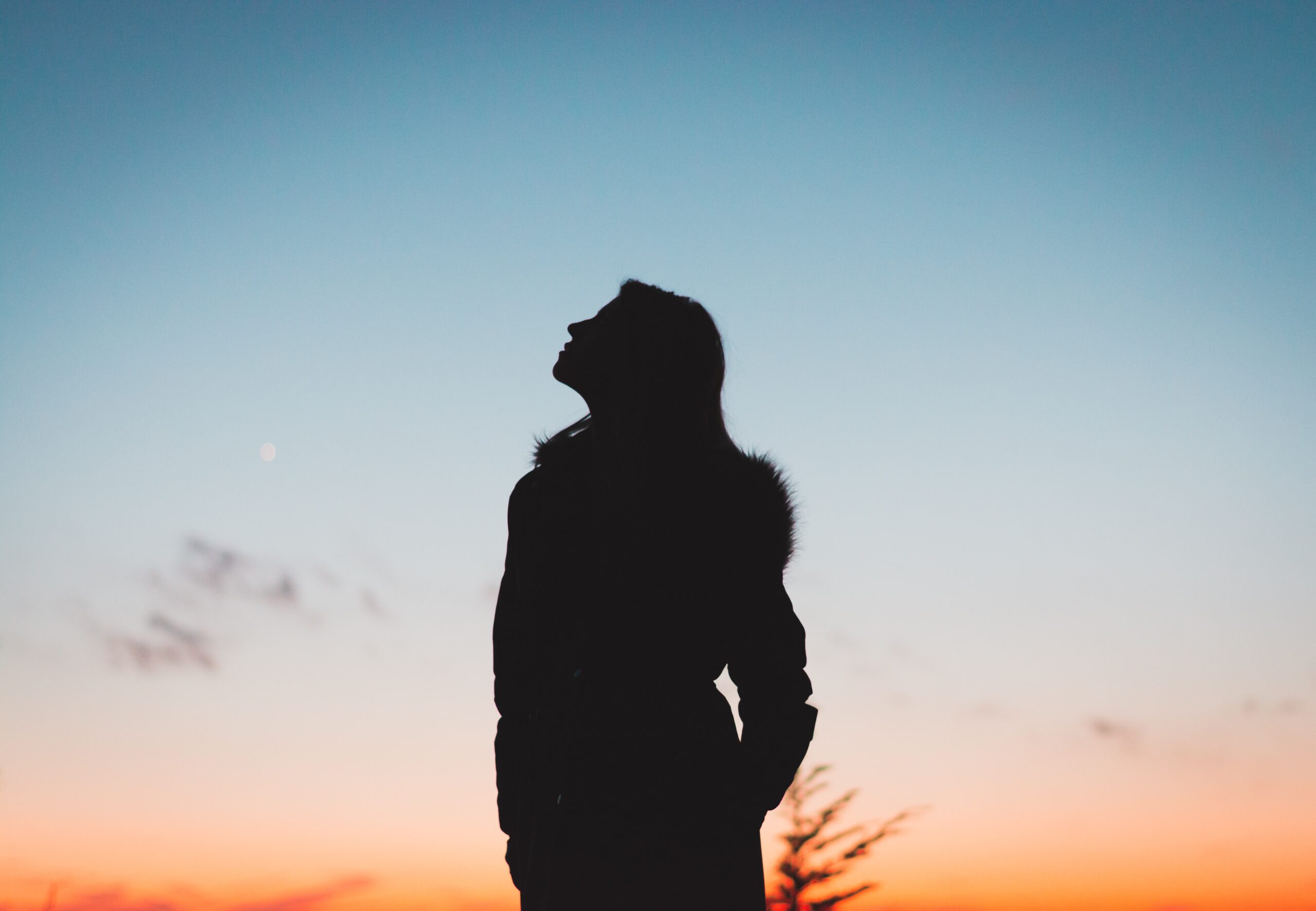 Silhouette looking up to the sky